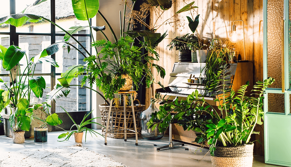 Why Greenery Matters